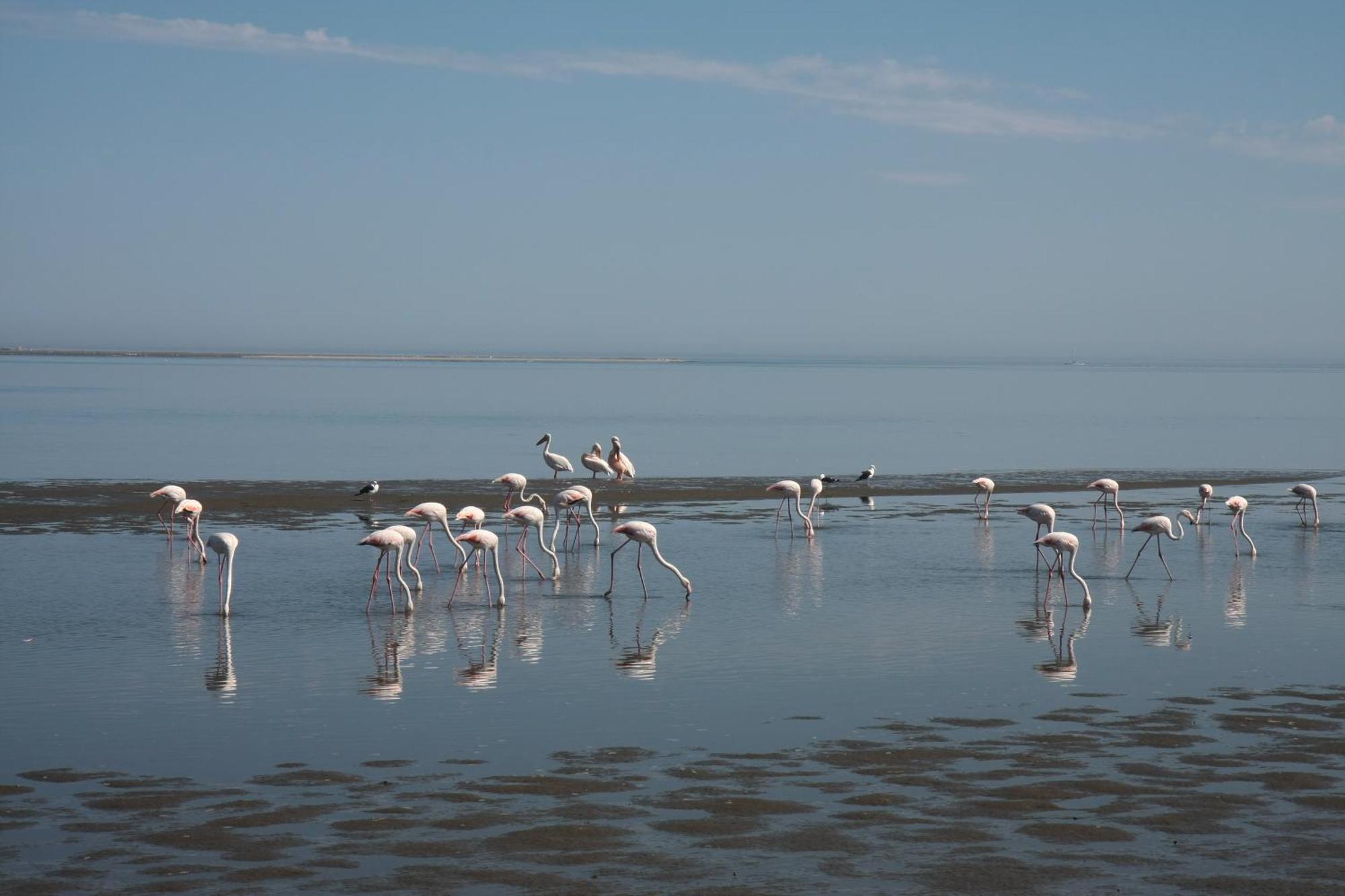 Lagoon Lodge Walvis Bay Dış mekan fotoğraf