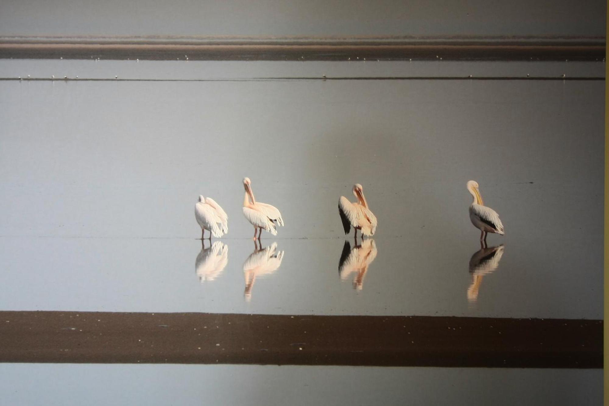 Lagoon Lodge Walvis Bay Dış mekan fotoğraf