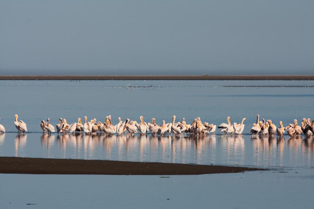 Lagoon Lodge Walvis Bay Dış mekan fotoğraf